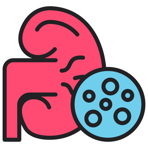 Kidney Stones
